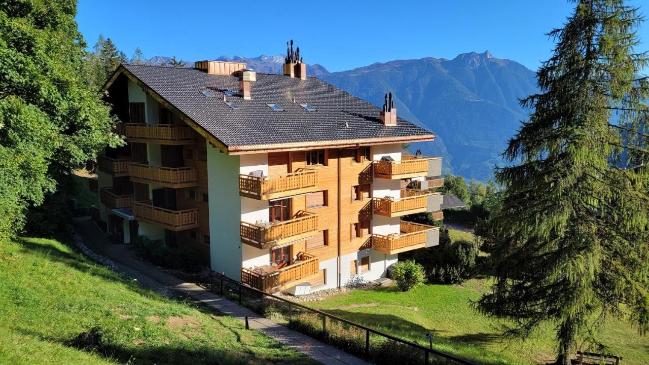 Appartement Chaleureux A Ovronnaz Exteriér fotografie