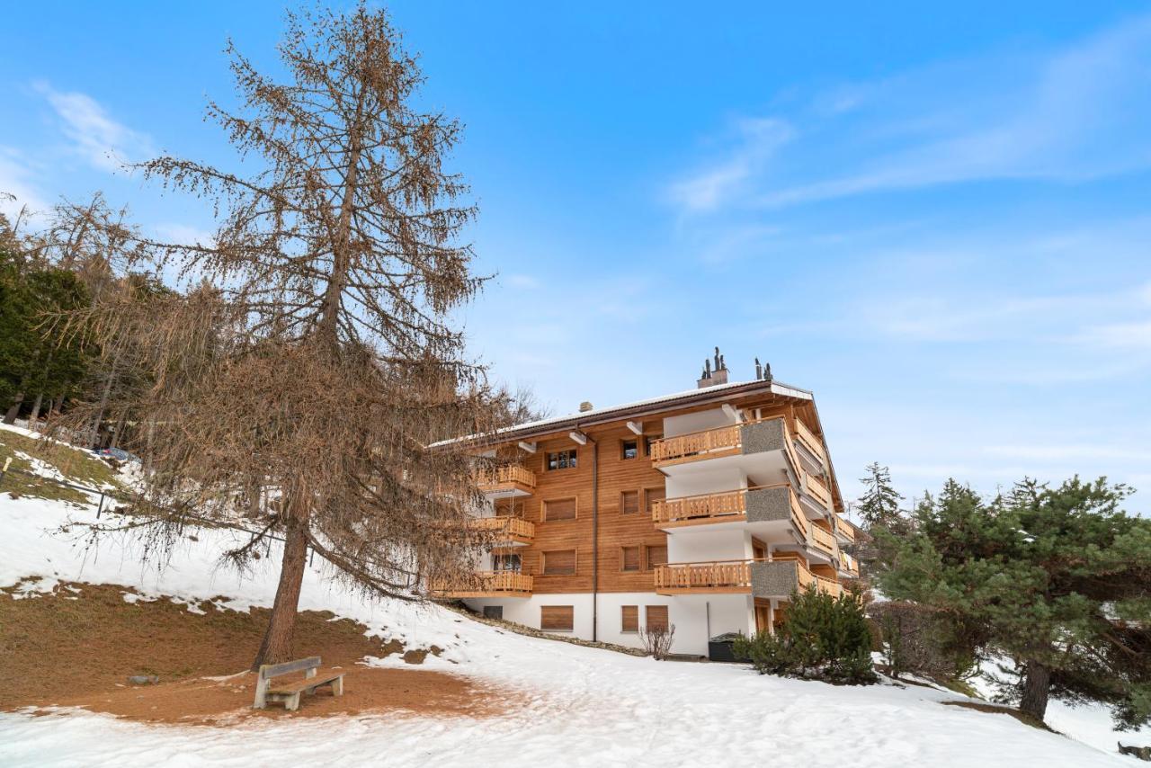 Appartement Chaleureux A Ovronnaz Exteriér fotografie